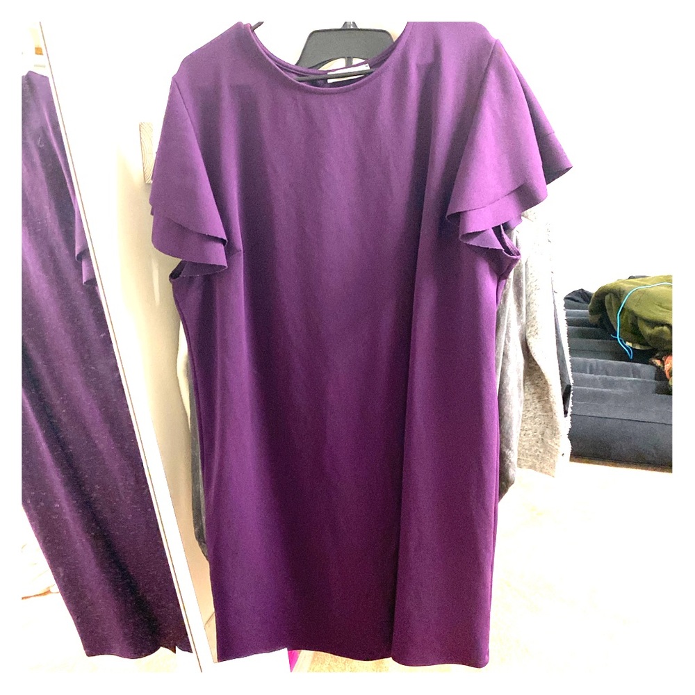 Ruffle sleeve dress